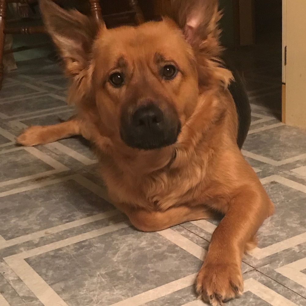 Meet your Posher, Grace